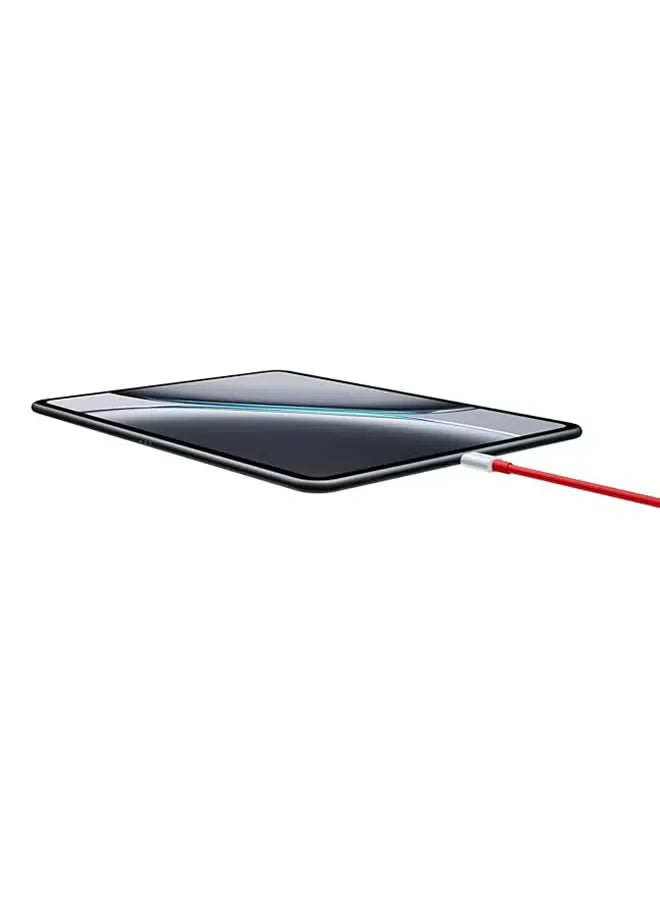 Pad 2 Nimbus Gray 12GB RAM 256GB WiFi - International Version